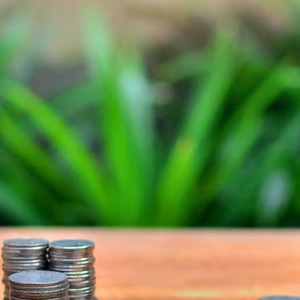 Tania reklama on-line dla MŚP