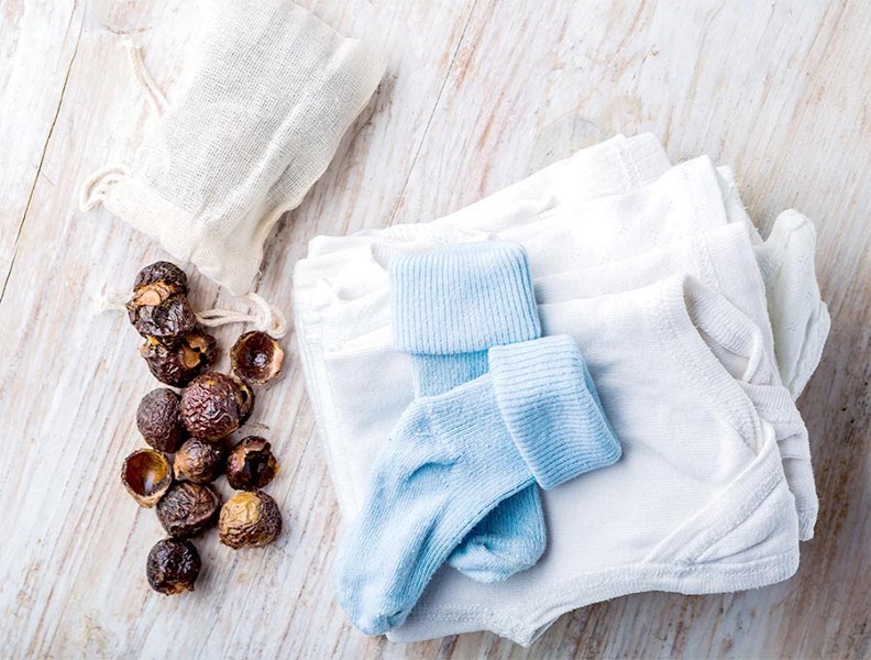 Orzechy piorące – czy warto z nich korzystać? Orzechy piorące – czy warto z nich korzystać?